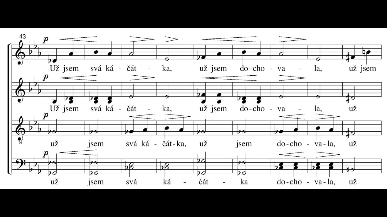 Jan&aacute;ček - Kačena divok&aacute; (Wild Duck), JW 4/18
