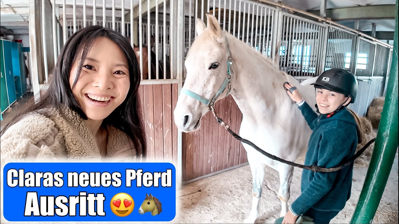 Claras neues Pferd 😍 Komm mit zum Stall! 1 Tag Ponyhof reiten | Mamiseelen