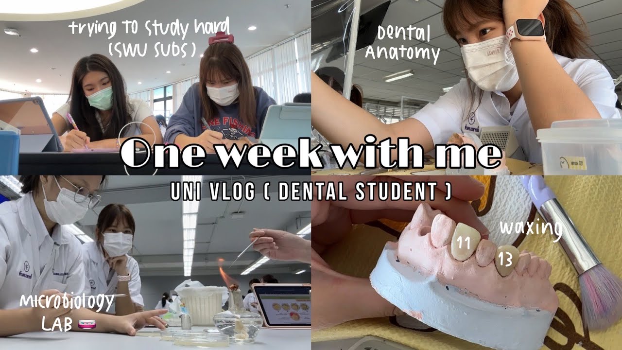 Uni vlog 🏫 (ft.ใน 1 สัปดาห์ทันตะมศวทำอะไรบ้าง, ทำแลปที่บ้าน, ไปเรียนที่มหาลัย, ให้รางวัลตัวเอง)