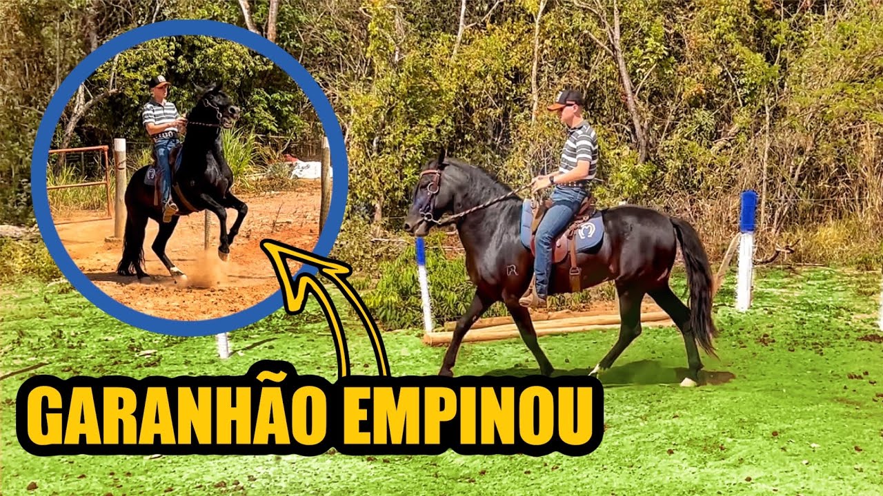 PASSANDO A PERNA no GARANHÃO PRETO