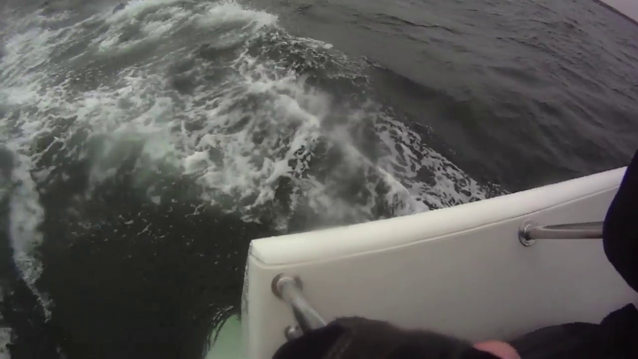 Melges 24 downwind high speed wipeout - lots of action in HD!