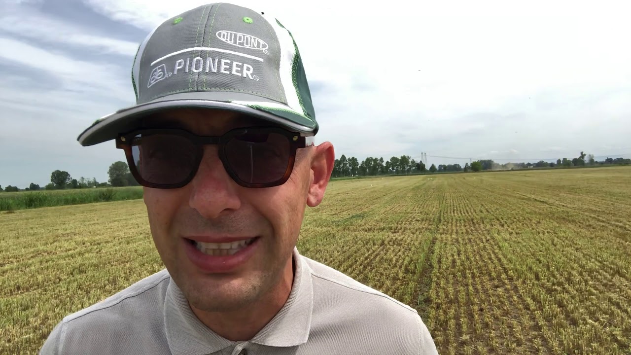 Trinciatura Triticale 2020