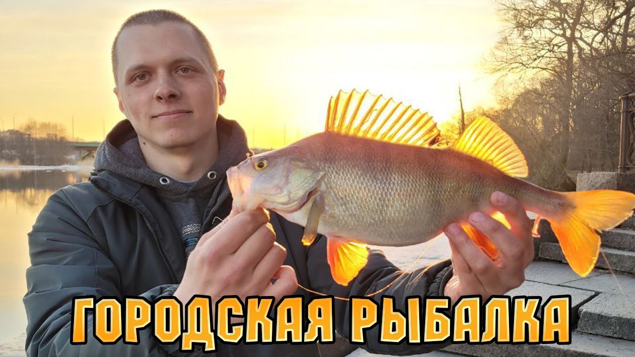 РЫБАЛКА В ГОРОДЕ НА ГОРБАТОГО ОКУНЯ 2023 САМОЕ УДАЧНОЕ ОТКРЫТИЕ СЕЗОНА ЖИДКОЙ ВОДЫ НА НЕВЕ В СПБ