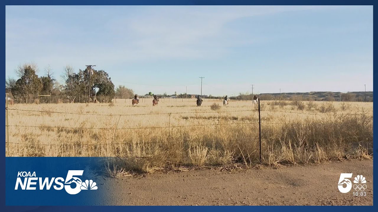 Human remains located in Security-Widefield area, believed to be suspicious