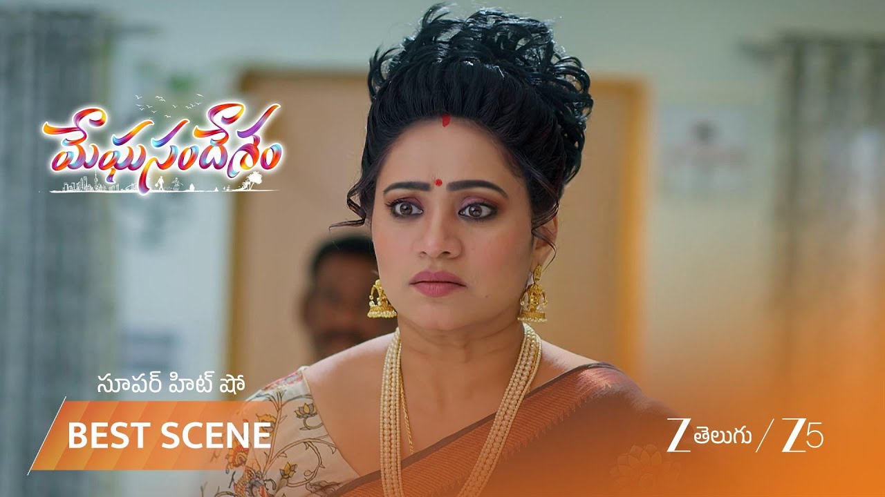 MEGHASANDESAM | అపూర్వ చేసిన మోసం బయటపడింది
