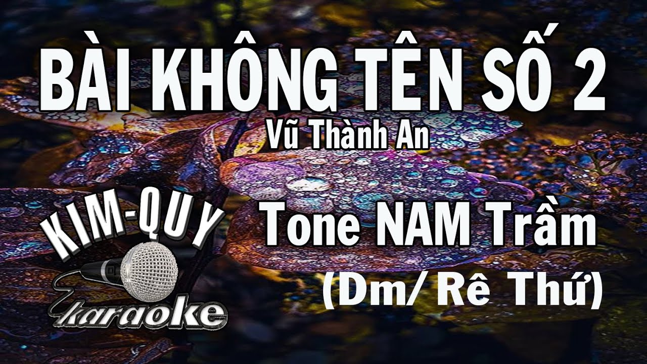 BÀI KHÔNG TÊN SỐ 2 - KARAOKE - Tone NAM Trầm ( Dm/Rê Thứ )