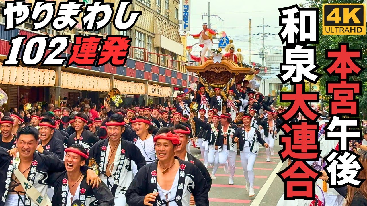和泉だんじり大連合 盛り上がりが凄いメインのやりまわしと抜けの直線 2025年