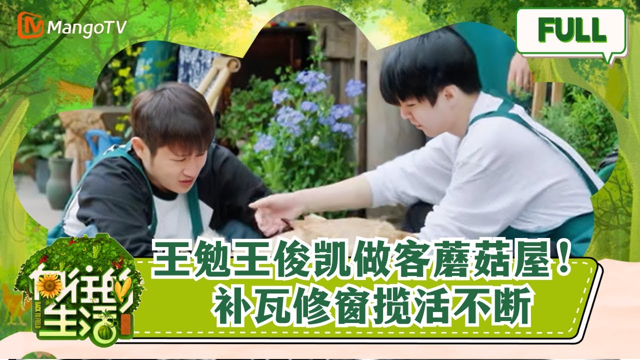 《向往的生活7》EP9 王勉王俊凯做客蘑菇屋！补瓦修窗揽活不断 Back to Field S7丨MangoTV