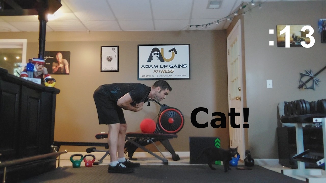 10 Min Full Body Cat Calisthenics | Beginner Friendly | There's a cat!