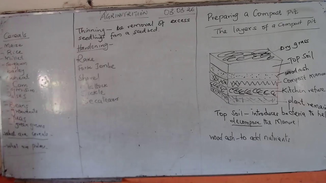 GRADE B6 ONLINE LESSONS