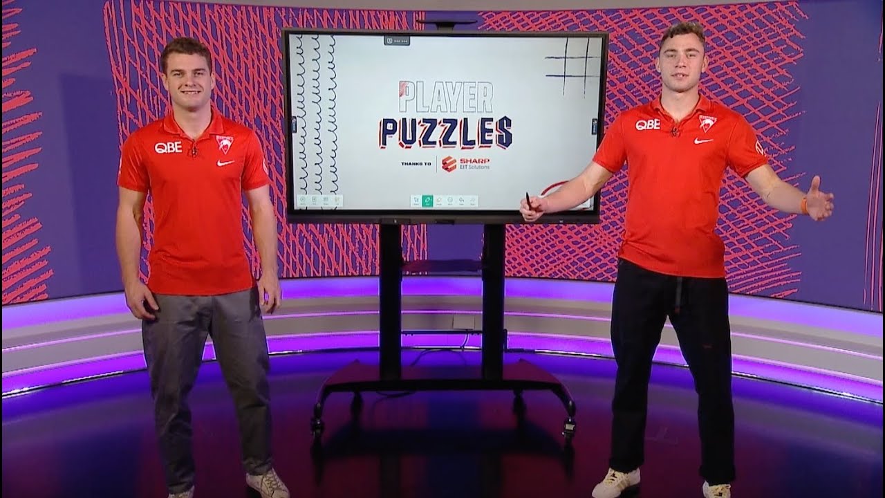 Papley or Hayward: Which Swan is the PUZZLE MASTER?