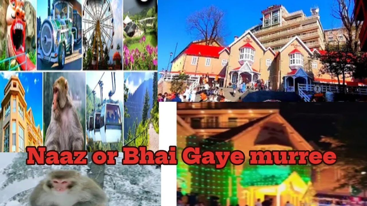 Naaz and bhai shaadi ke bad tour per Gaye Mari Islamabad and Lahore