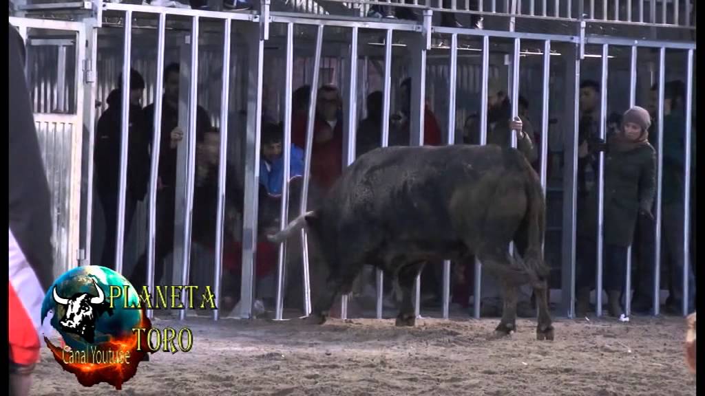 2015 01 20 BENICASIM HNOS BENAVENT