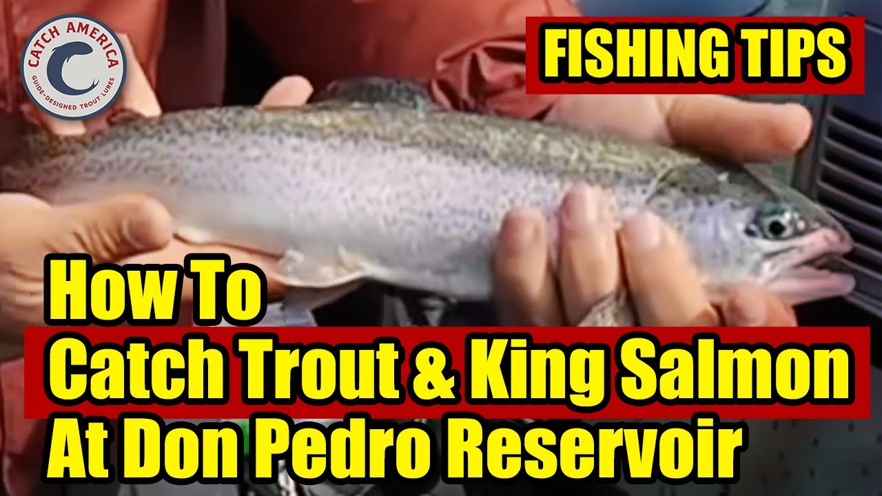 How To Catch Trophy Trout & Kings at Don Pedro (It’s Not Luck!)