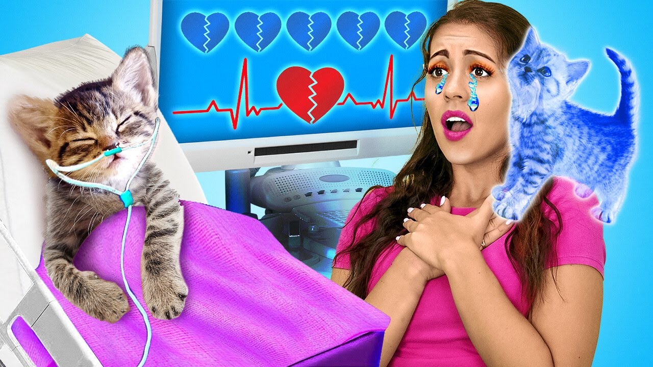 🙀🆘 この小さな猫を救ってください！ペットオーナーのための秘密のハック＆ガジェット by La La lif