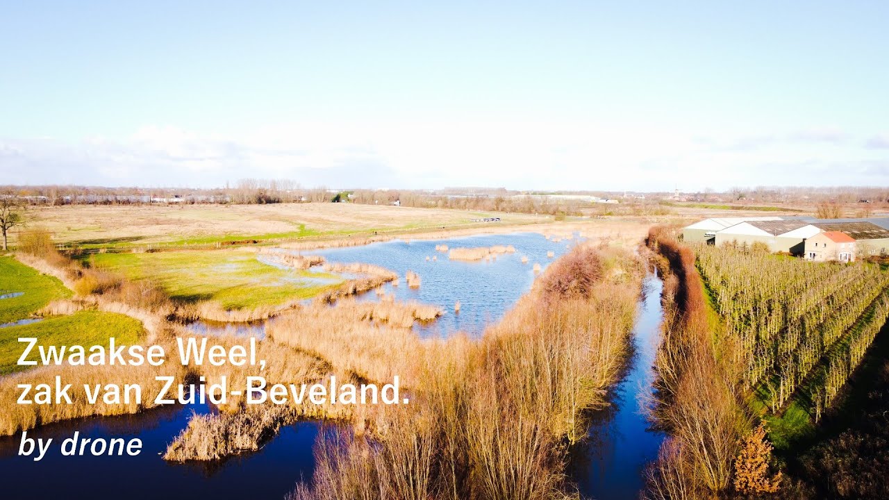 Drone video, Zwaakse Weel, zak van Zuid-Beveland / Zeeland.