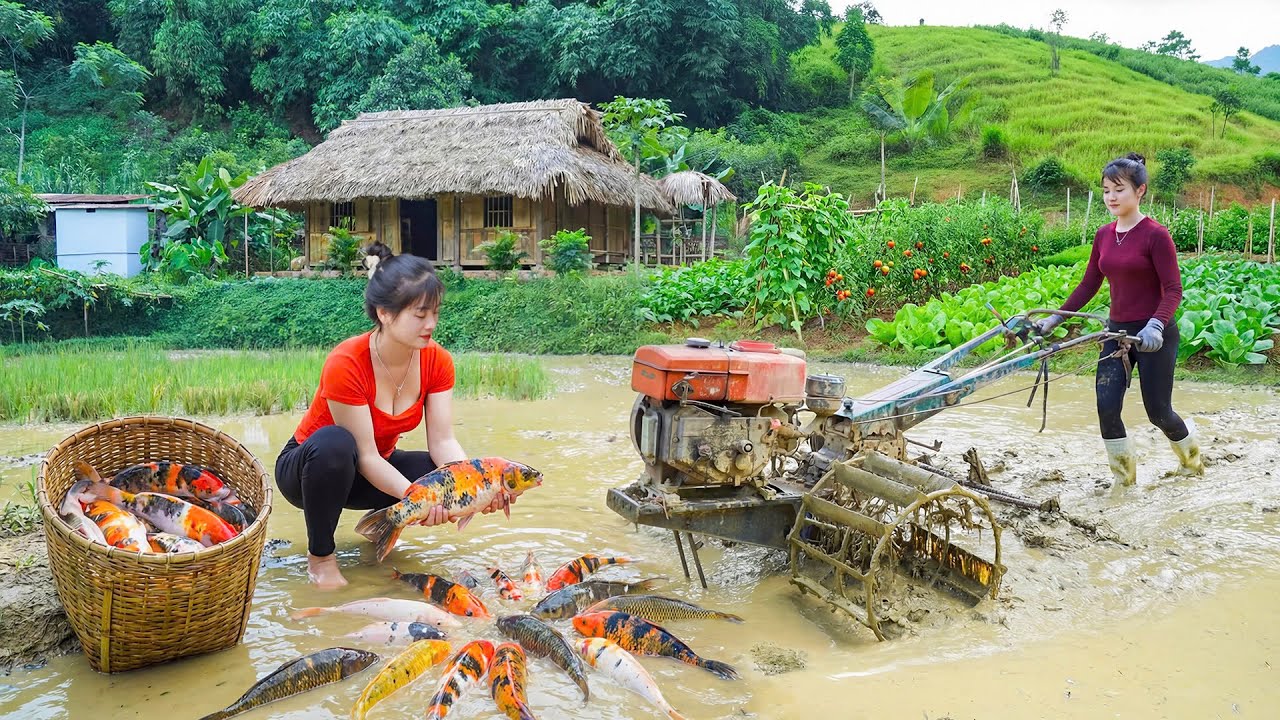 Timelapse - Preparing a Fish Pond by Hand | Off Grid Farm Life