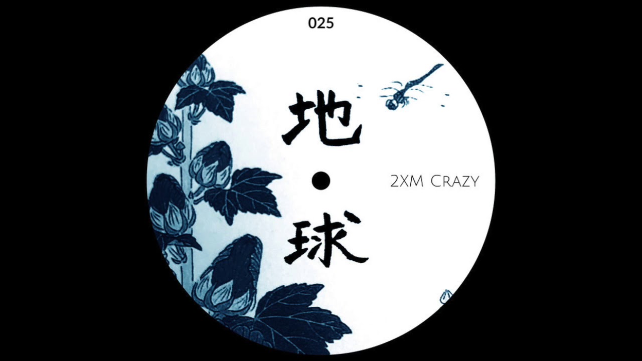 2XM - Don't Wanna (Let You Go)