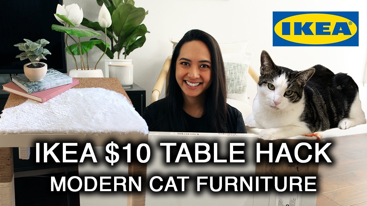 IKEA $10 TABLE HACK DIY Modern Cat Tree Furniture