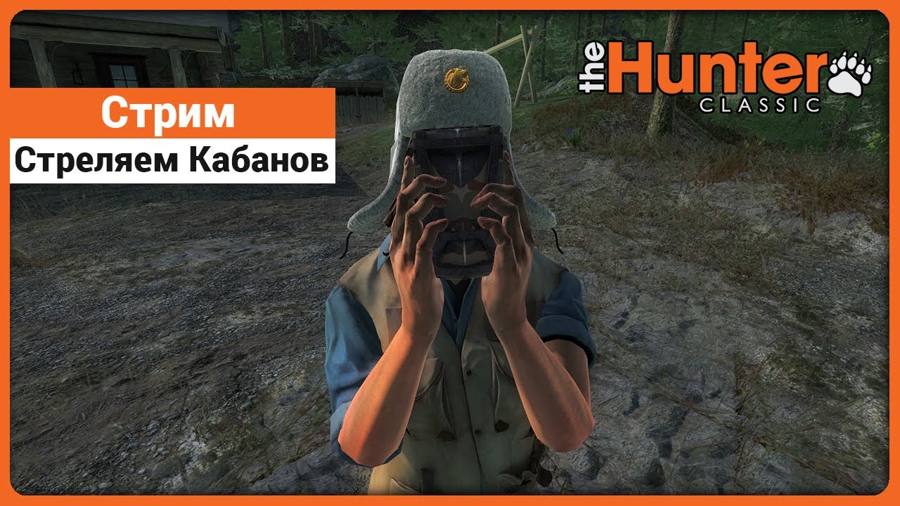 Стрим охоты на кабанов во время события - в theHunter Classic !