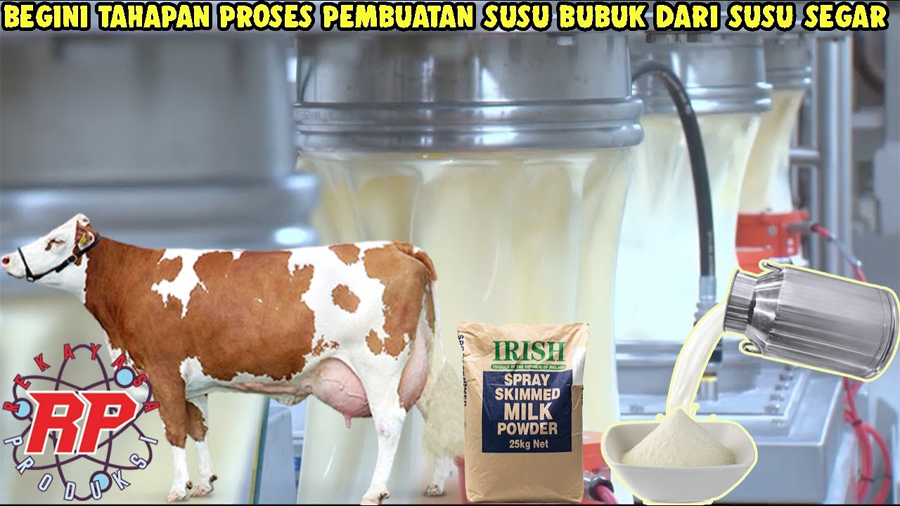 TERNYATA BEGINI TAHAPAN PROSES PEMBUATAN SUSU BUBUK DARI SUSU SEGAR DARI PETERNAKAN
