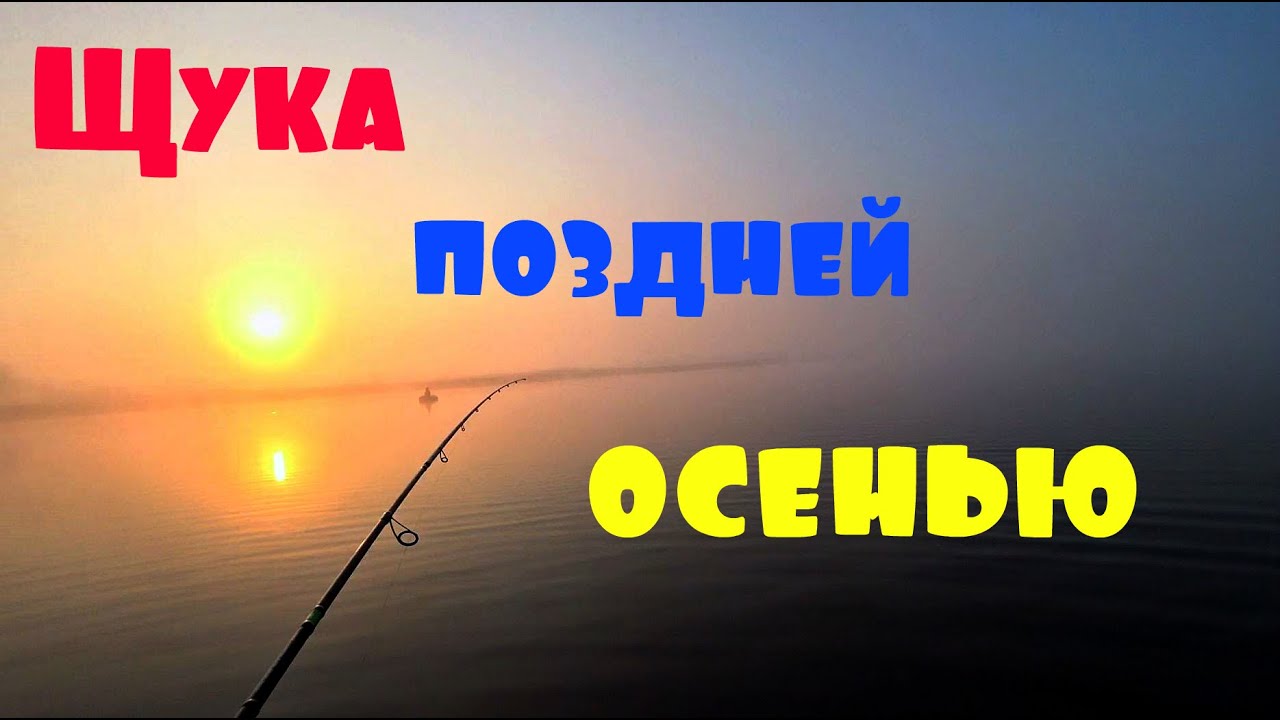 Ловля щуки поздней осенью, последние теплые деньки!
