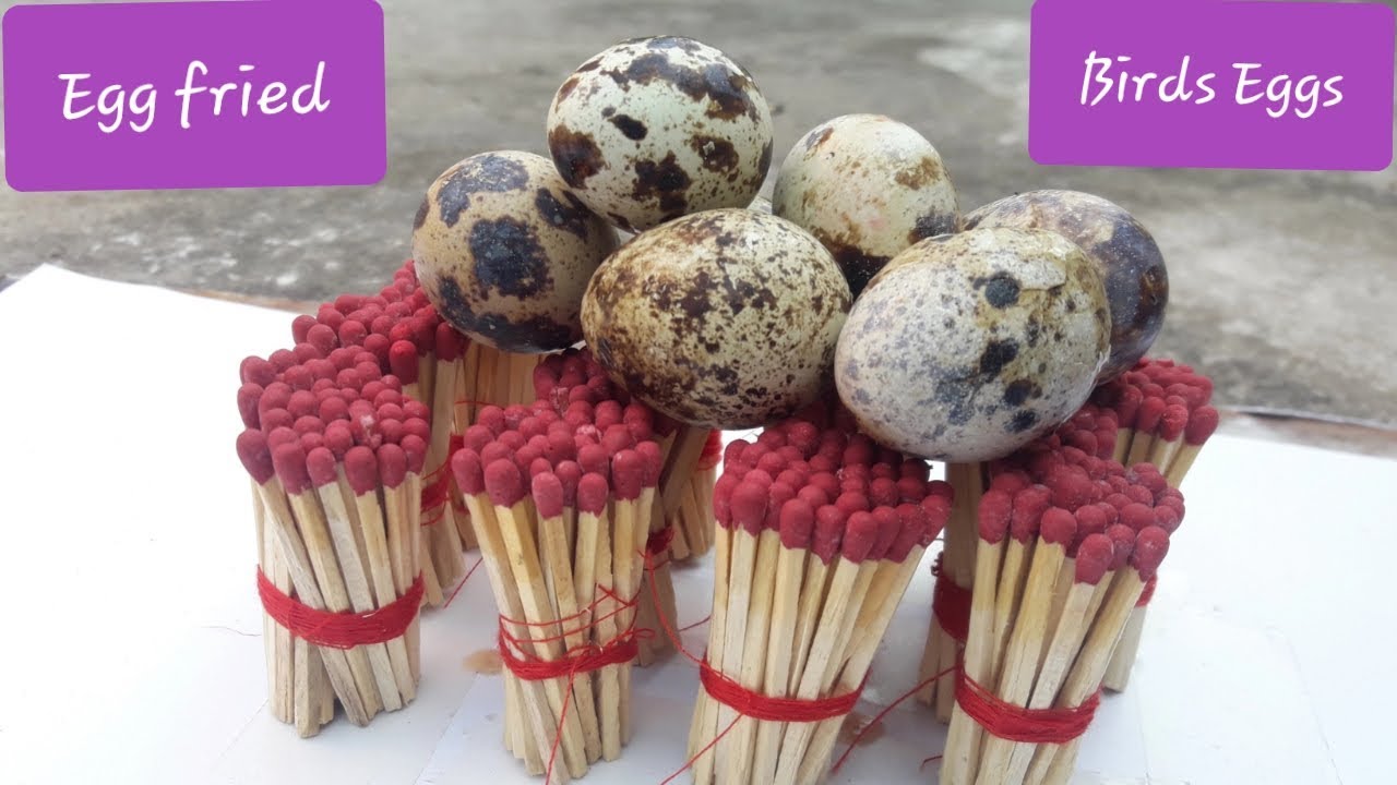 Bird Eggs Fried Within 1 Minute