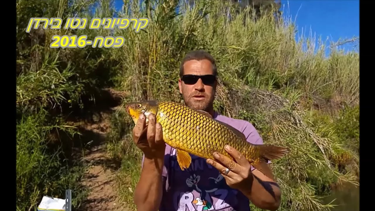 דיג-ליאור גכמן קרפיונים נטו בירדן פסח 2016 Carp Fishing