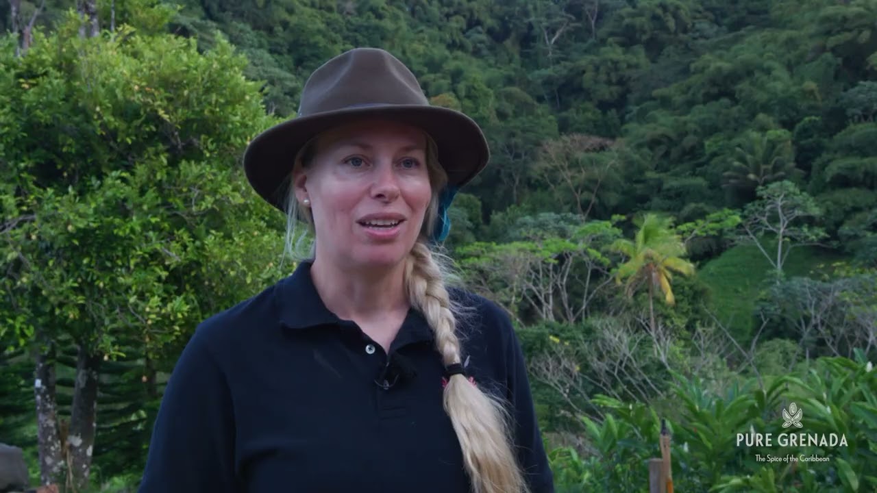 Voluntourism in Grenada: Myristic Mountain