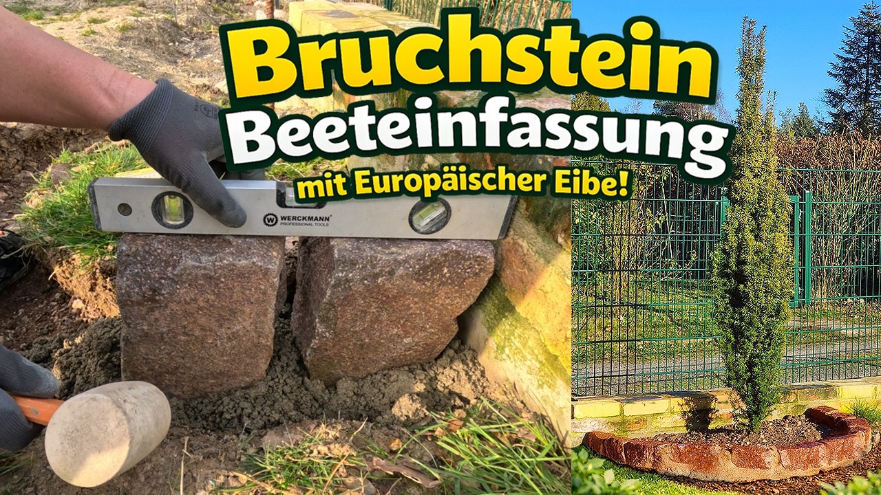 Gartengestaltung DIY | Bruchsteinbeet selber machen + 🌿 Europäische Eibe pflanzen