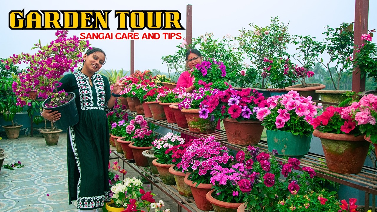 Garden Tour | 3 Big Gardening Tips You Need to Know | Pabitra Garden