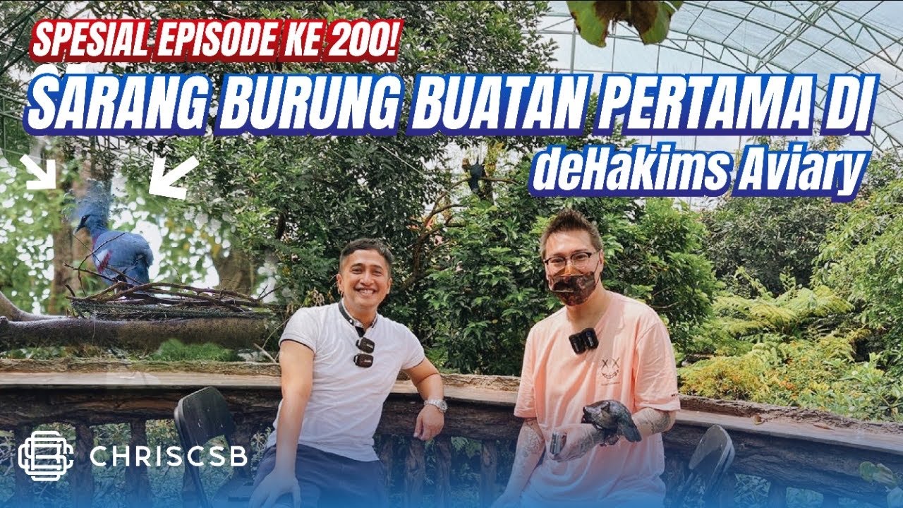 Keren! Sarang Burung Langka Buatan Pertama di @deHakimsAviaryIrfanHakim Spesial Episode ke 200 Chris CSB