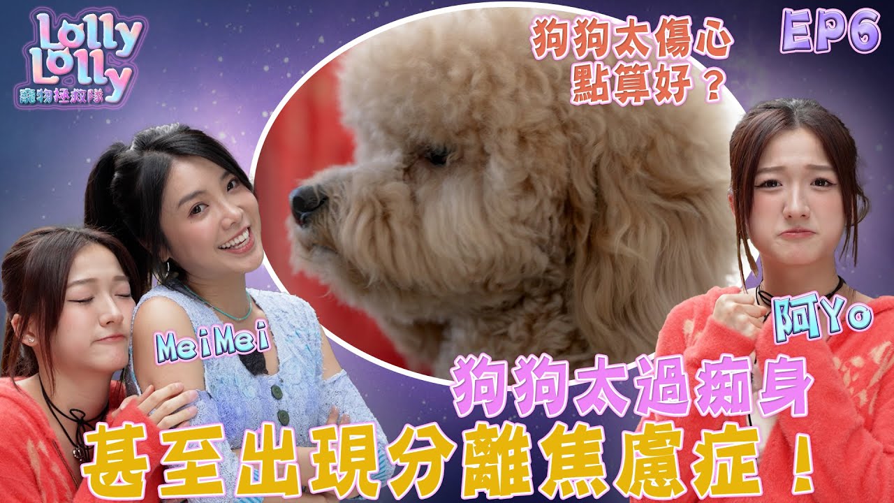 狗狗太過痴身 甚至出現分離焦慮症！｜ Lolly Lolly寵物拯救隊 ｜EP6｜ Lolly Talk ｜ 寵物 ｜ HOY TV