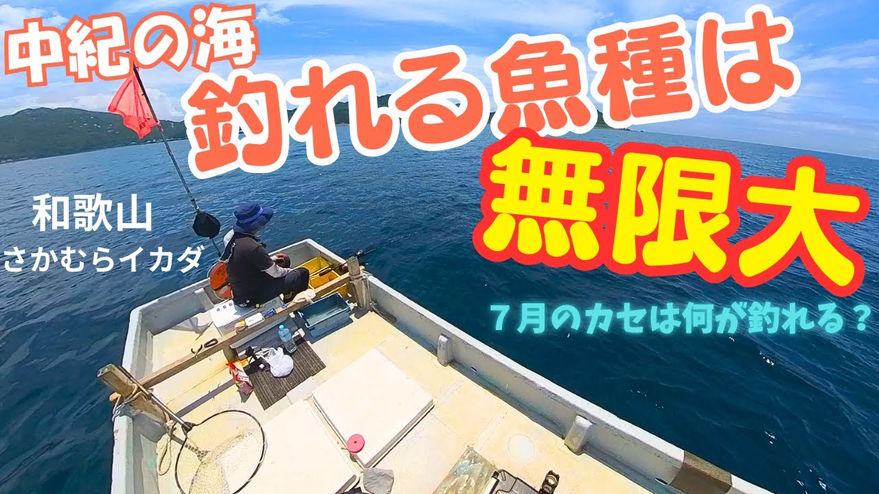 カセ釣り編：和歌山さかむらイカダ! 7月の中紀の海は何が釣れる？ この海は釣り人を飽きさせない魅力がある！