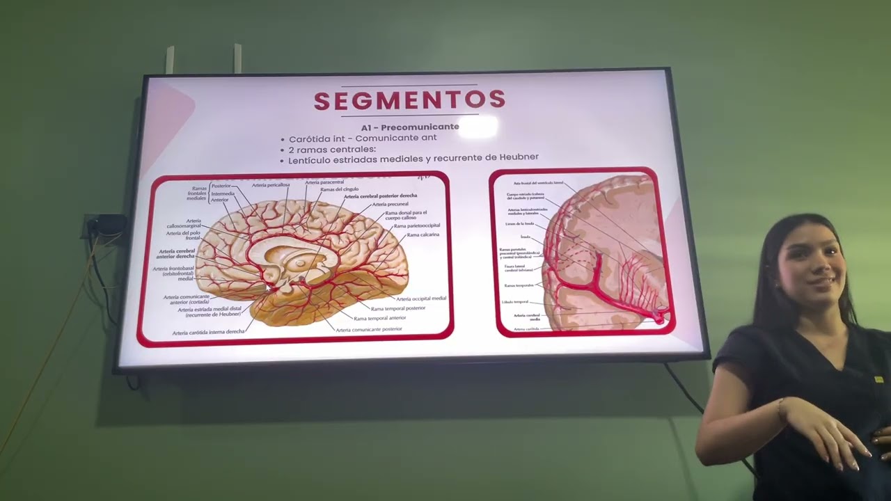 CEREBRAL  ANTERIOR 