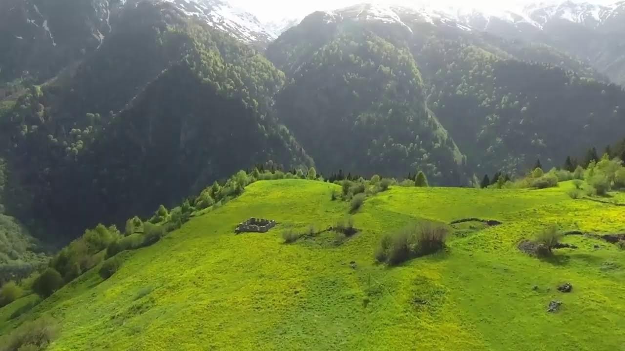 Rahat Uyumak, Kafanı Dinlendirmek, Huzur Bulmak İçin Doğa İle İç İçe Kal | Harmoni Sounds