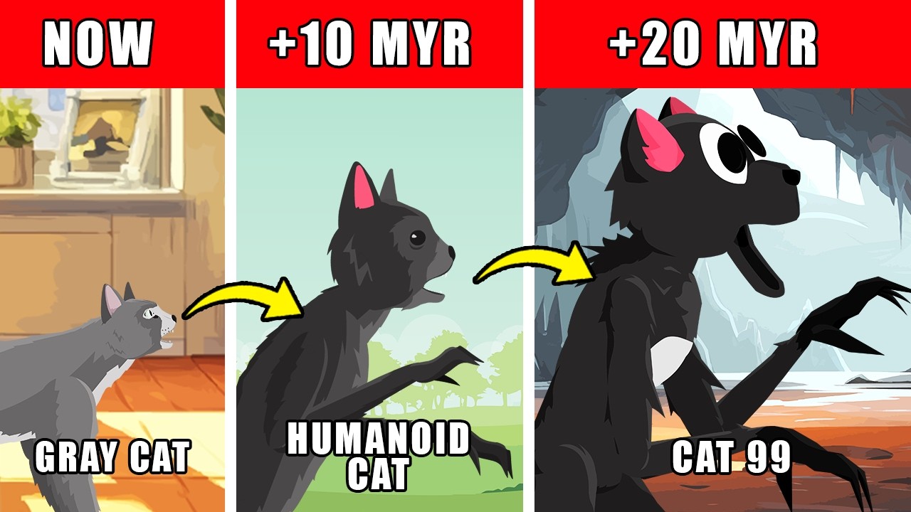 The Cat 99 Origin Evolution: How The Cat 99 Could Have Evolved