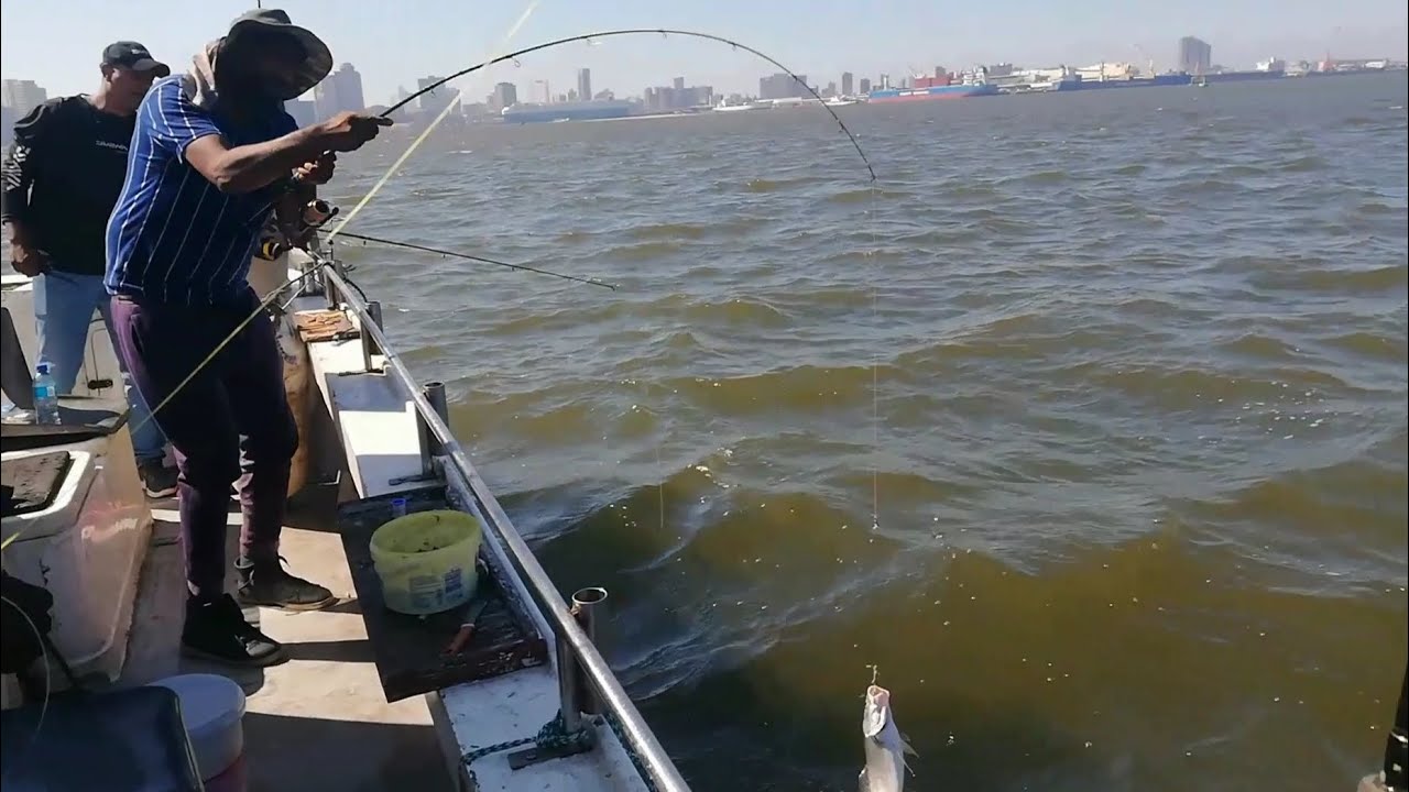 CRAZY Fishing Action On The Boat! Part Two: Fishing Durban Harbour, KZN, South Africa.
