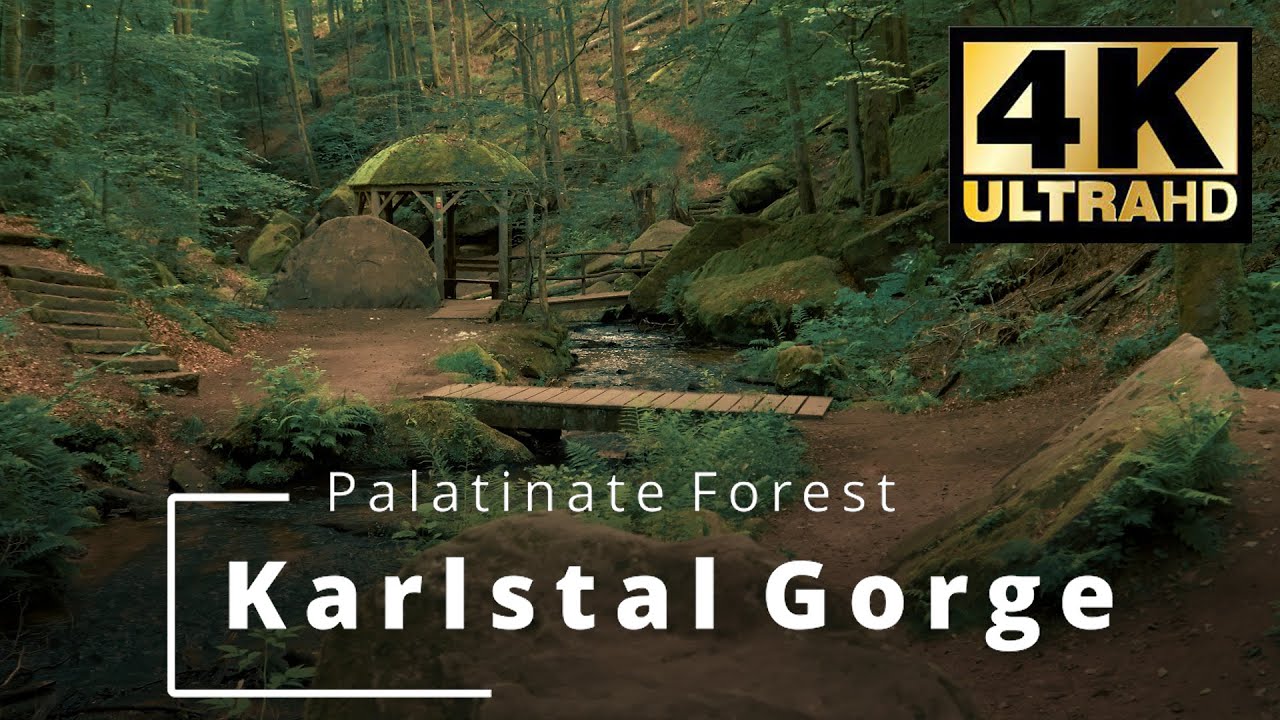 Karlstal Gorge | Palatinate Forest | Karlstalschlucht | Pfälzerwald | Trippstadt | Ultra HD 4K