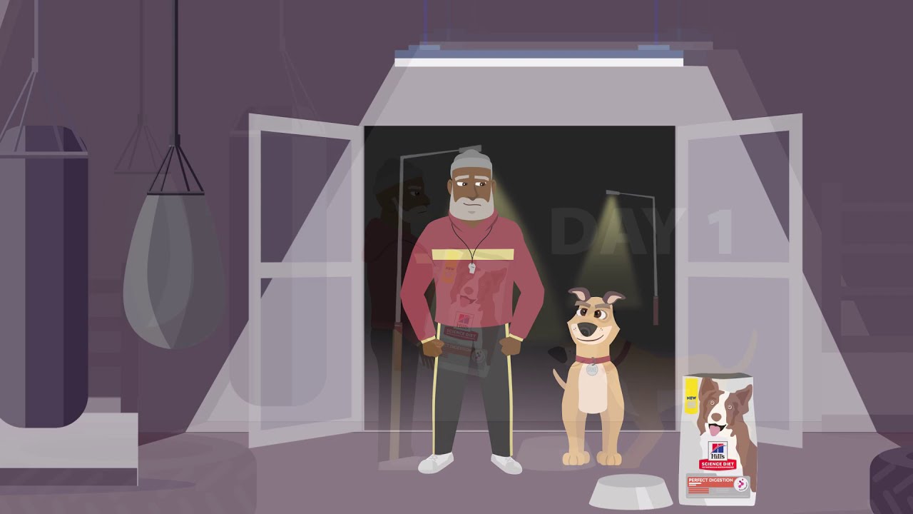 Hill&rsquo;s Science Diet Perfect Digestion: Perfect Poop in 7 Days