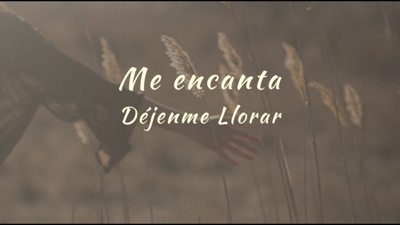Carla Morrison - Me encanta (letra)
