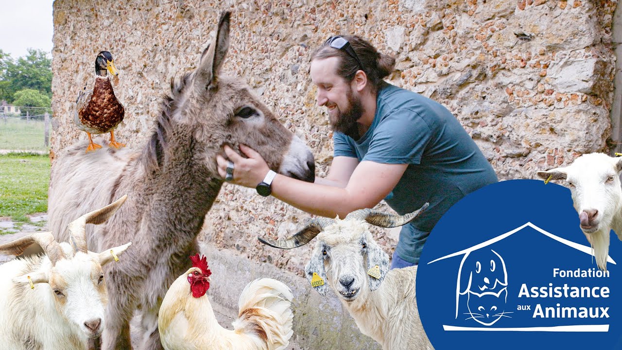 On visite la ferme pédagogique de Versailles @FondationAssistanceAuxAnimaux !