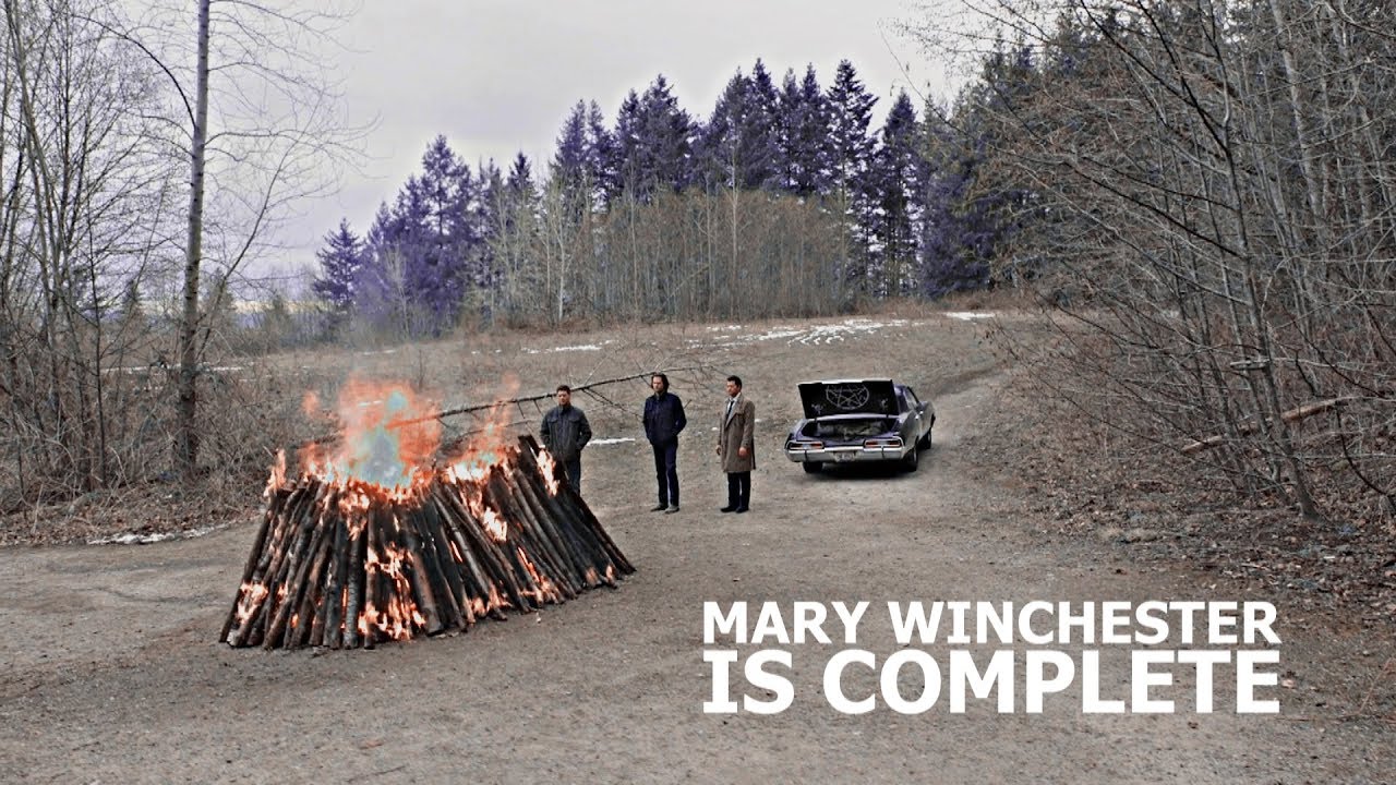 mary winchester is complete. [14x18]