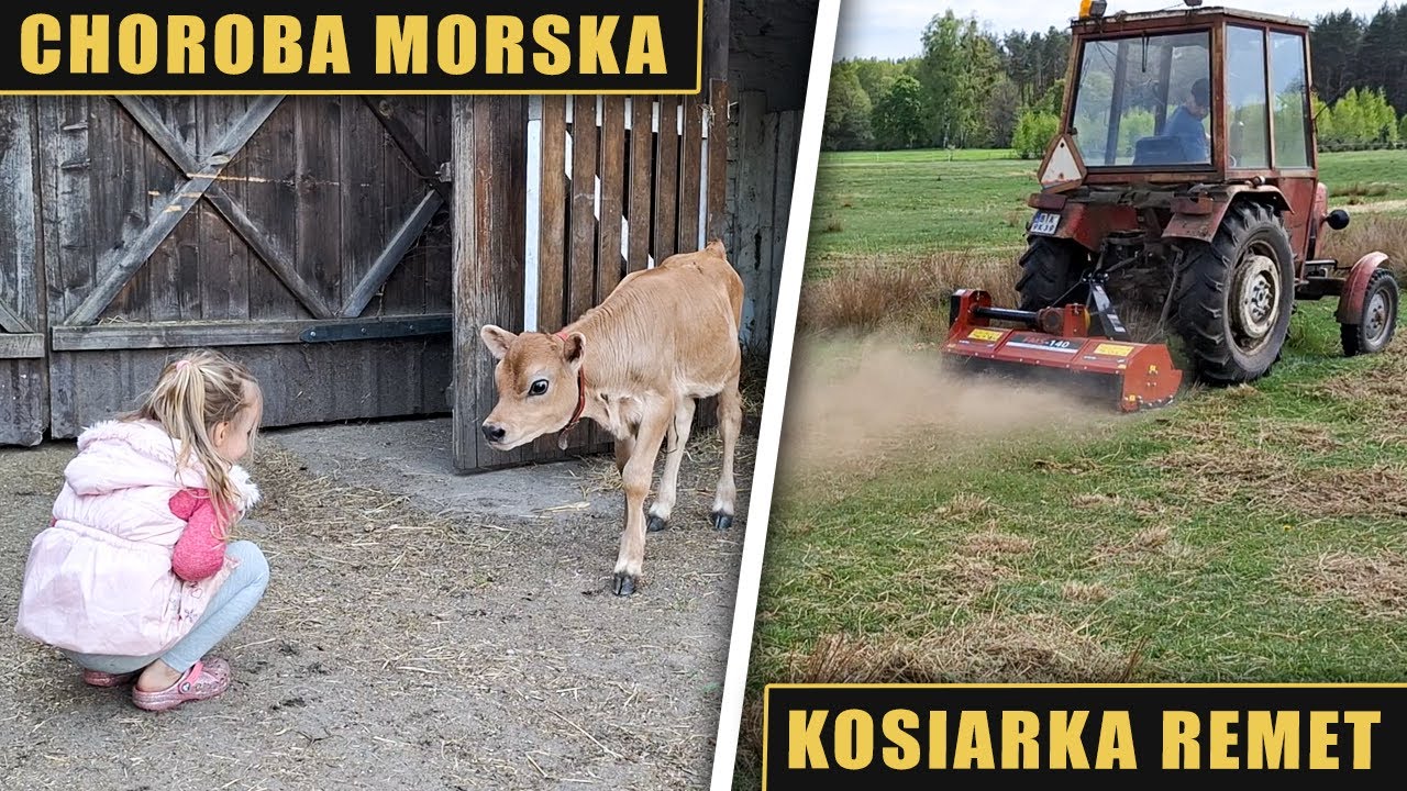 Choroba morska i kosiarka REMET