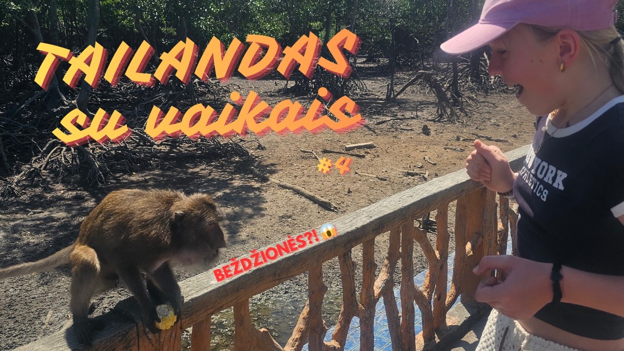 Išprotėjusios beždžionės 😱🐒 | Monkey hill | Phuket old town | Tailandas su vaikais