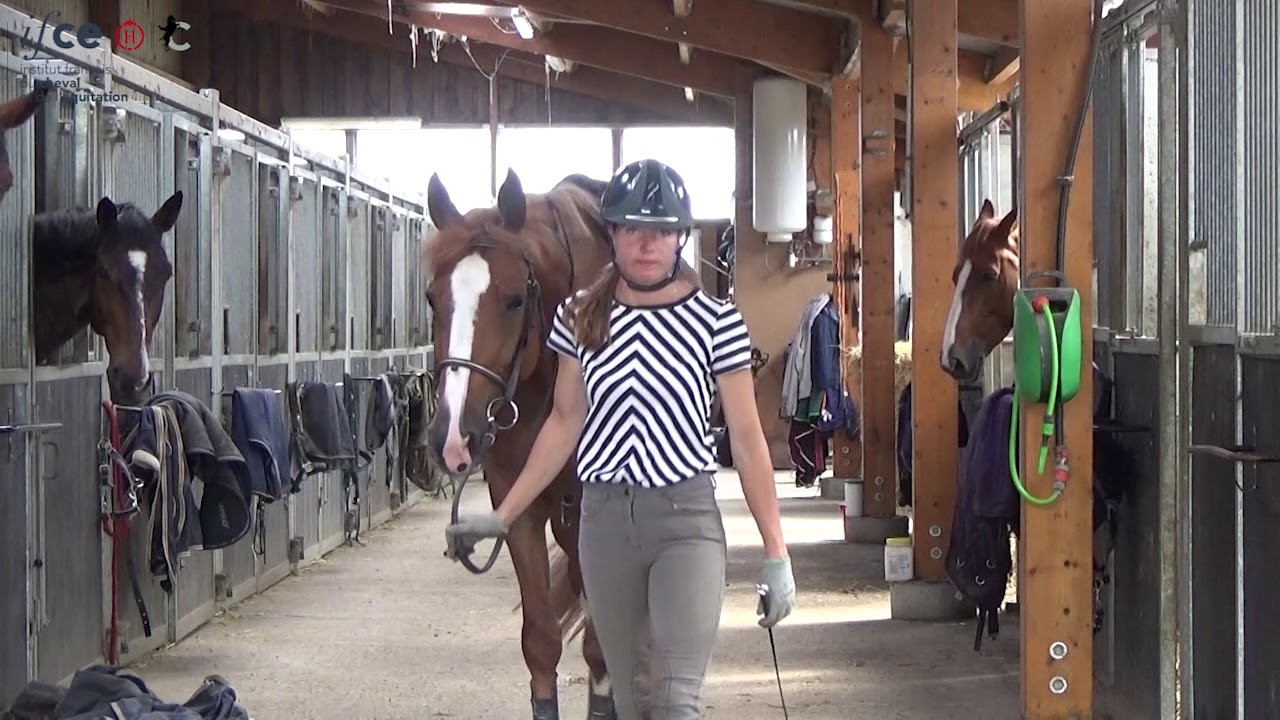 Louisiane, en formation DEJEPS  sur le site du Haras national du Pin, apprentie Haras du Maizeret