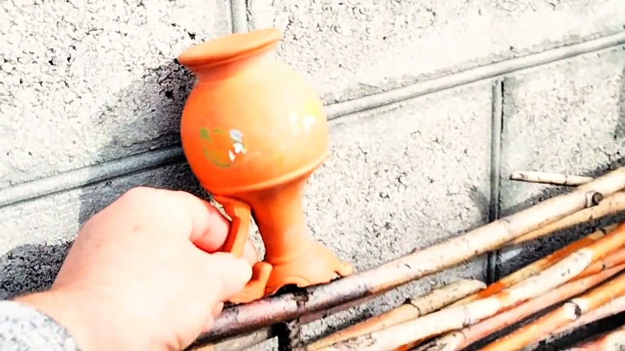 Що зроблено а що в планах. Розквітла верба Кілмарнок .🥰