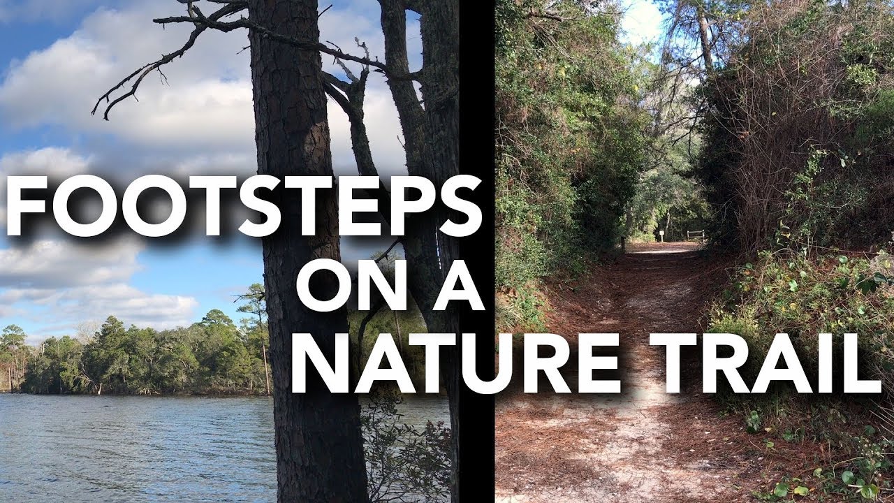 ASMR Footsteps - Walking a Nature Trail (3Dio Binaural, No Talking, First Person POV, Repetition)