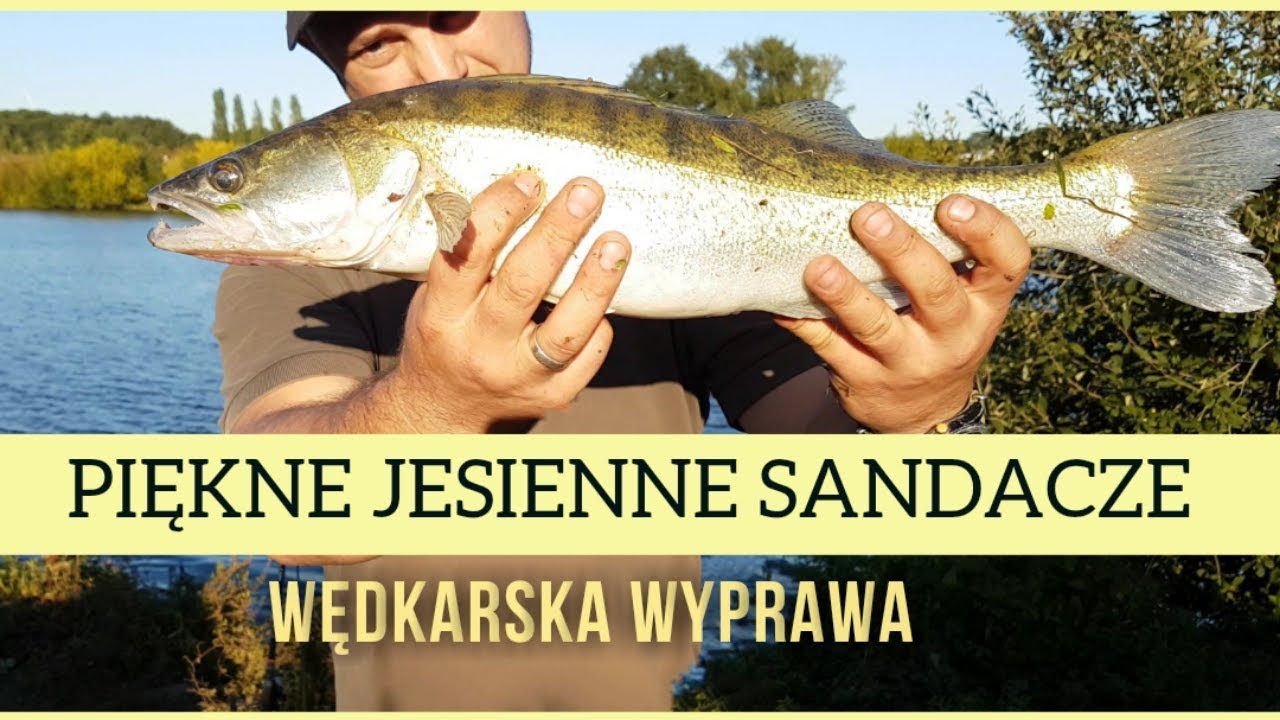 Wędkarstwo nocą Sandacze i Leszcze na grunt rzeka Maas Holandia