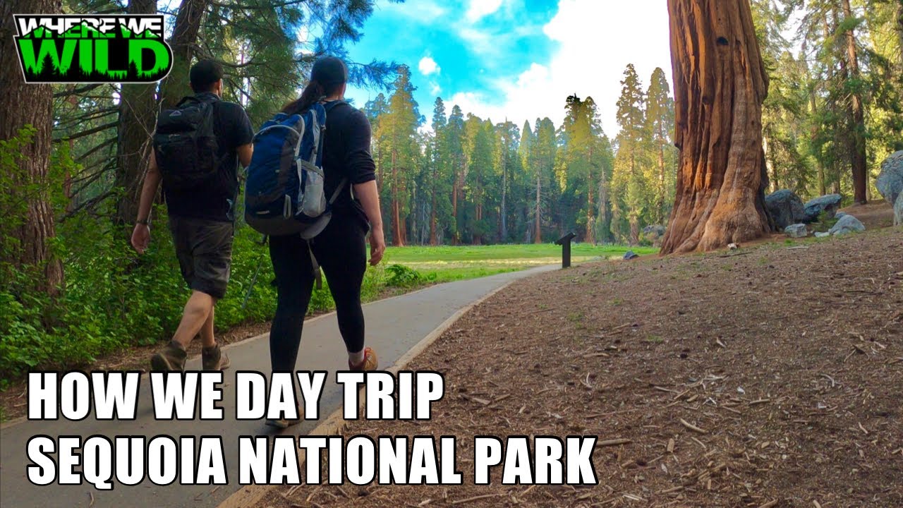 HOW WE DAY TRIP - Sequoia National Park